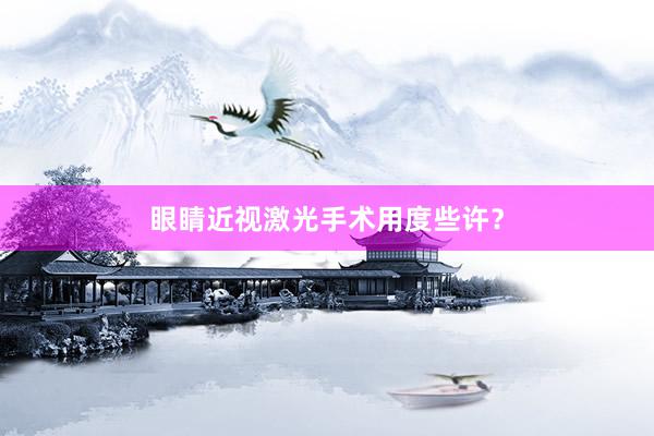 眼睛近视激光手术用度些许？