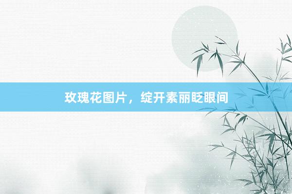 玫瑰花图片，绽开素丽眨眼间